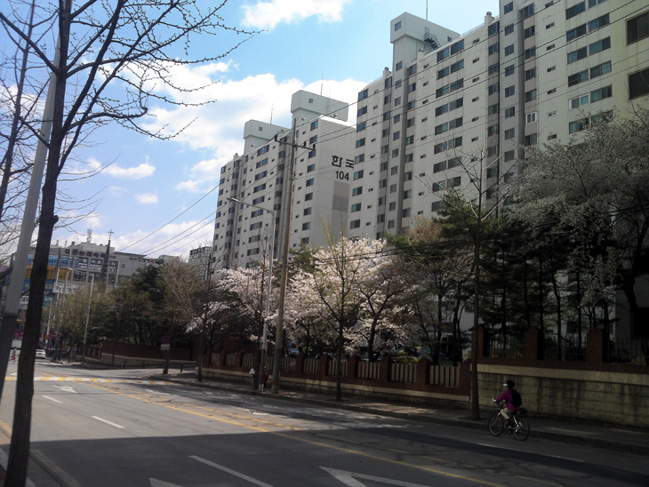 20140404002.jpg